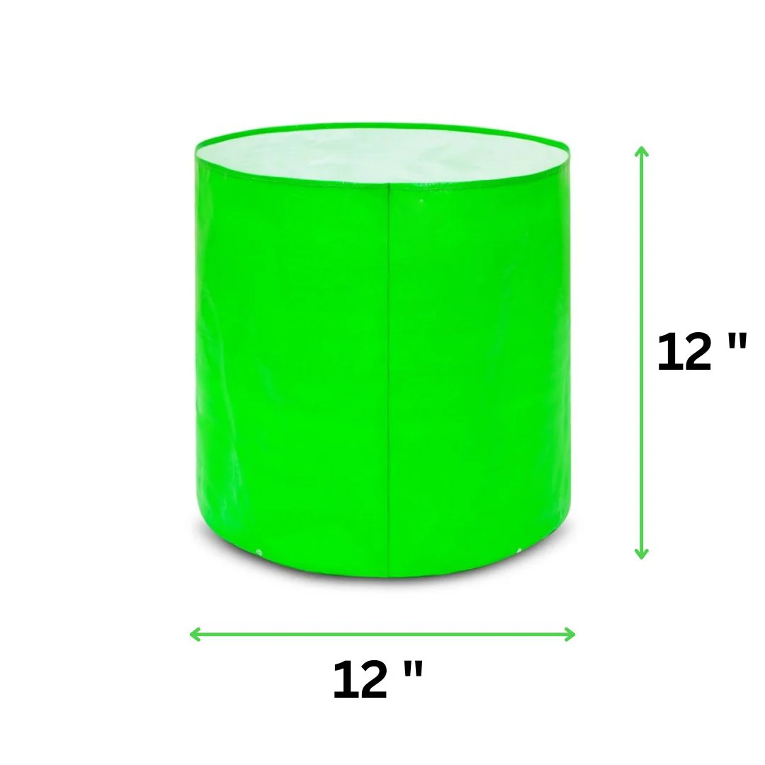 Pack of 10 Grow Bags (12x12 INCHES)