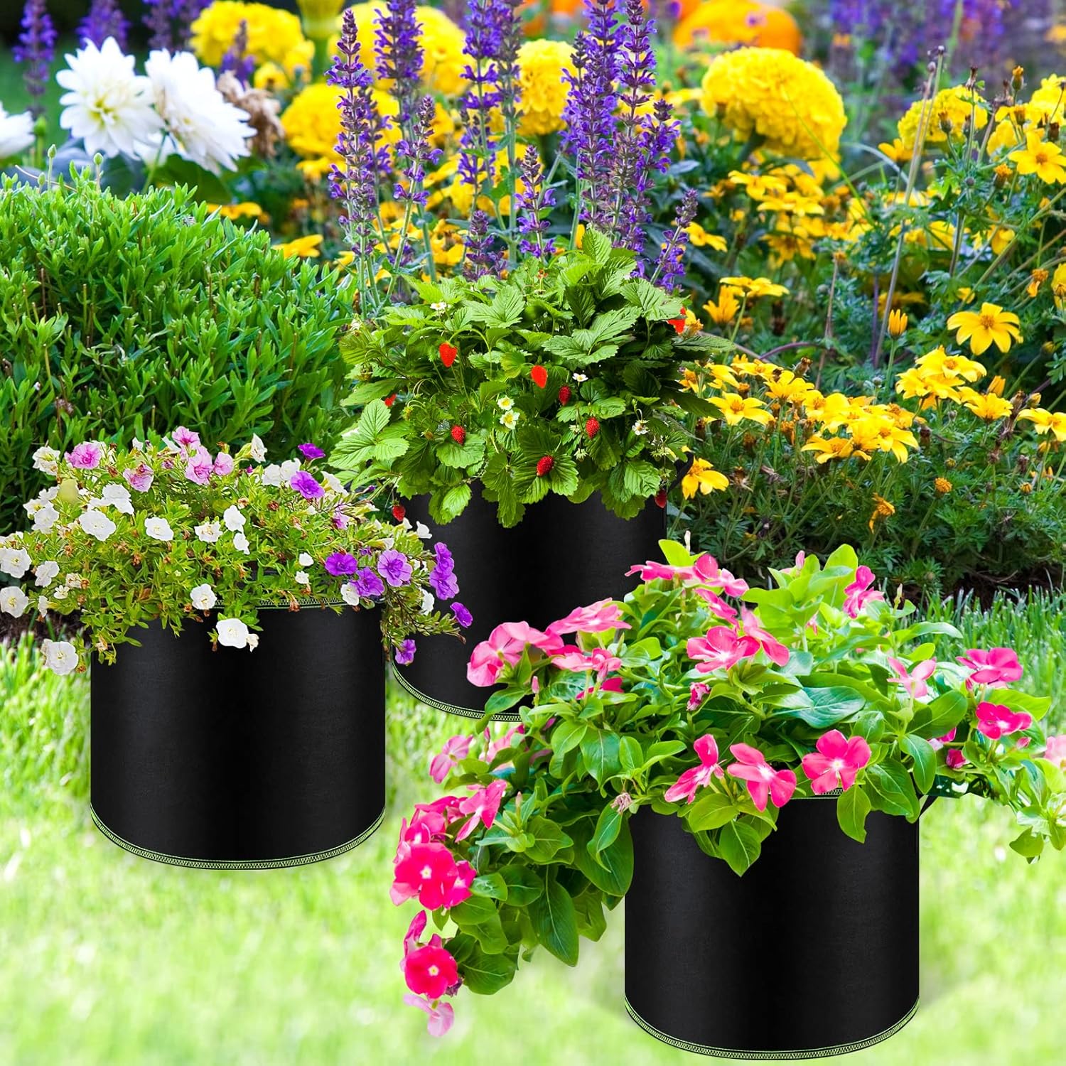 5 Gallon Grow Bag (imported) - Image 5