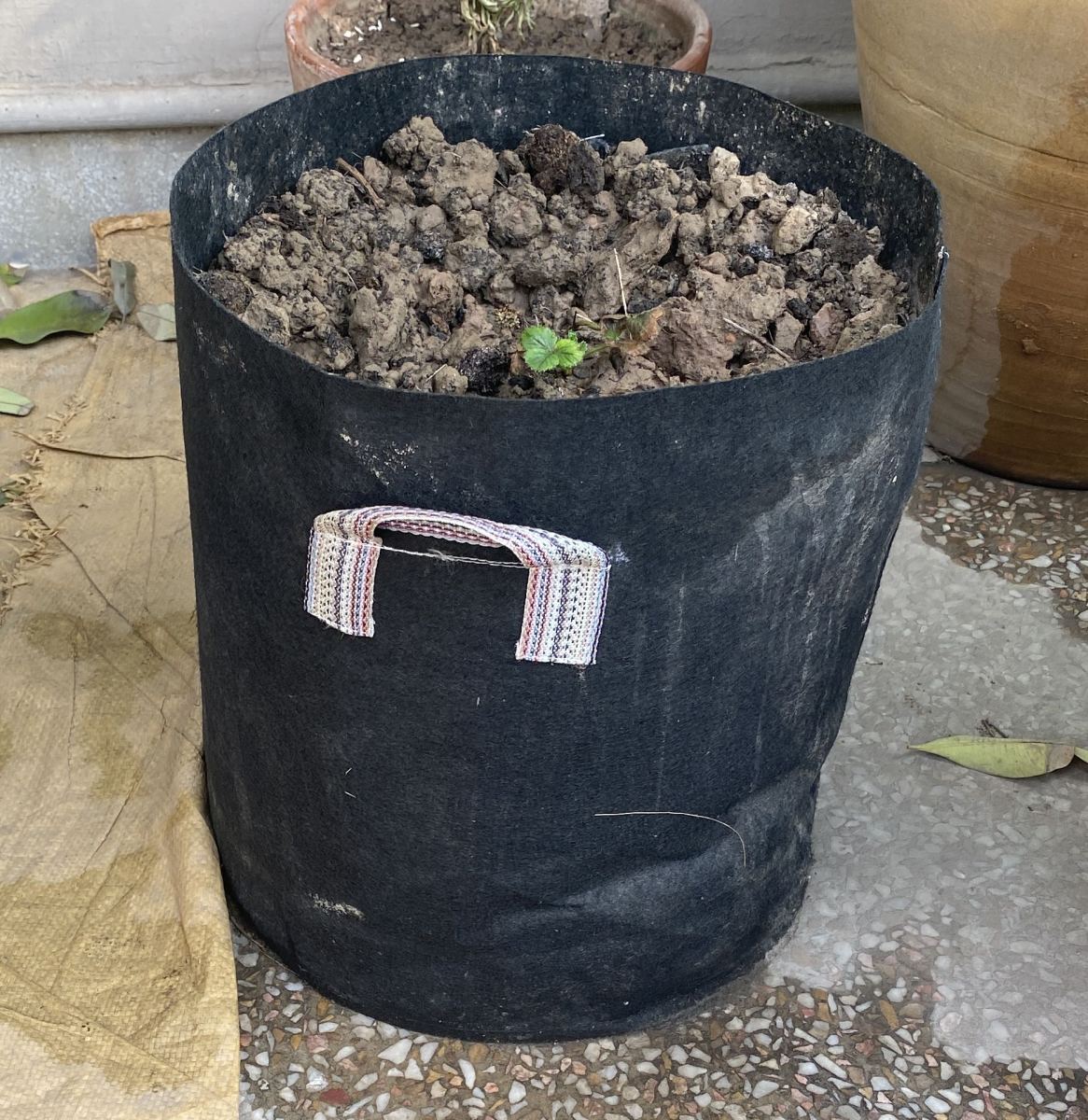 Pack of 3 Grow Bags (13x13 INCHES) Local - Image 2