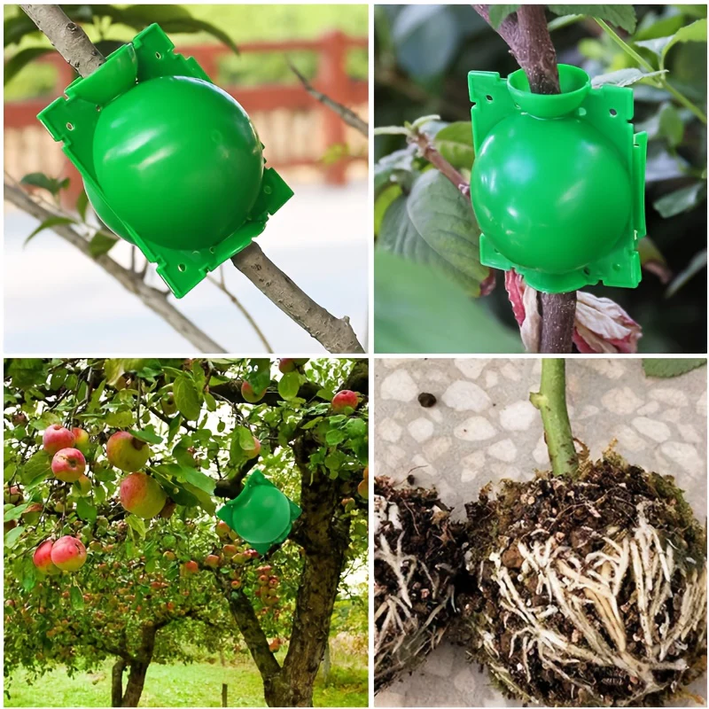 Air Layering Cups (8cm) - Image 2
