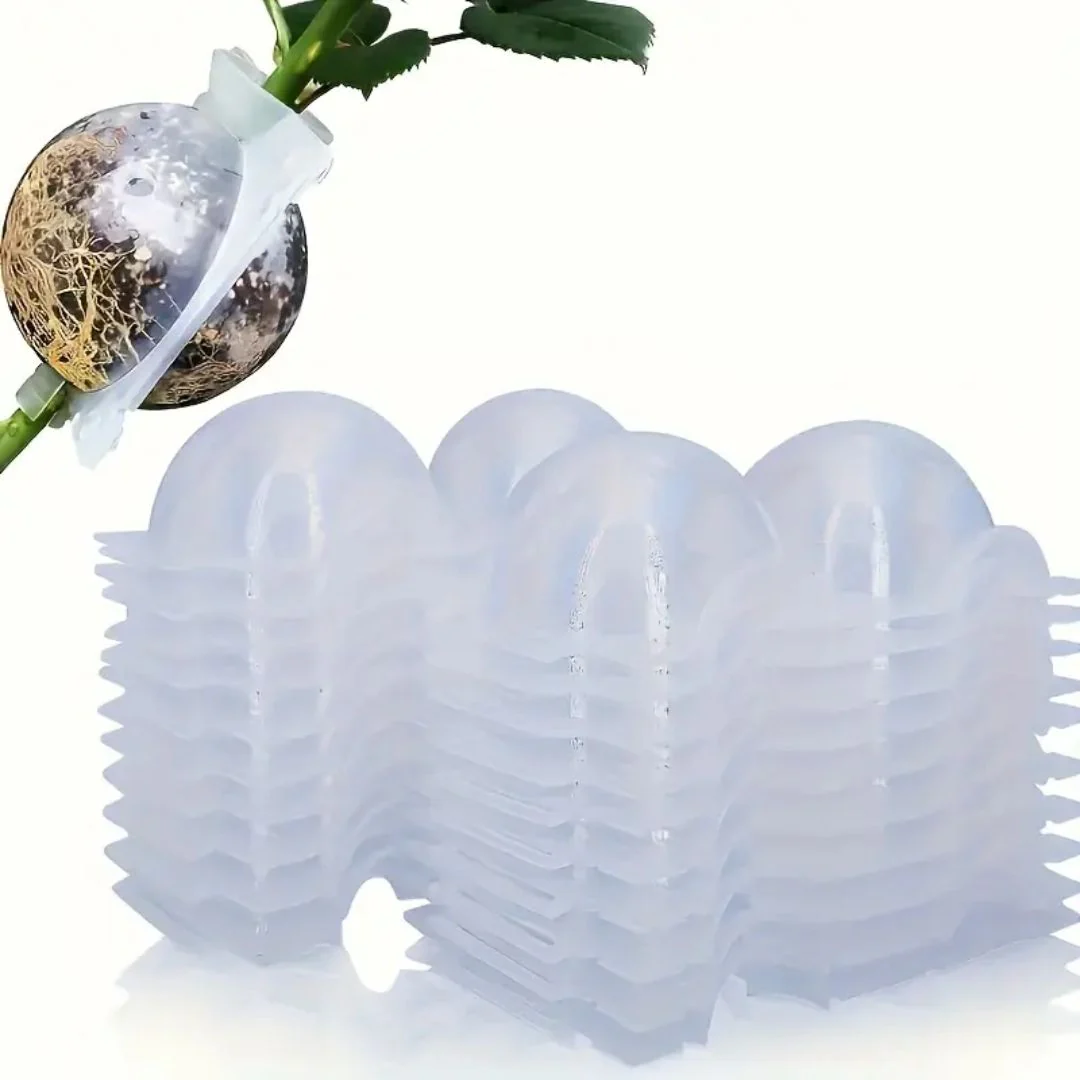 Air Layering Cups (8cm)