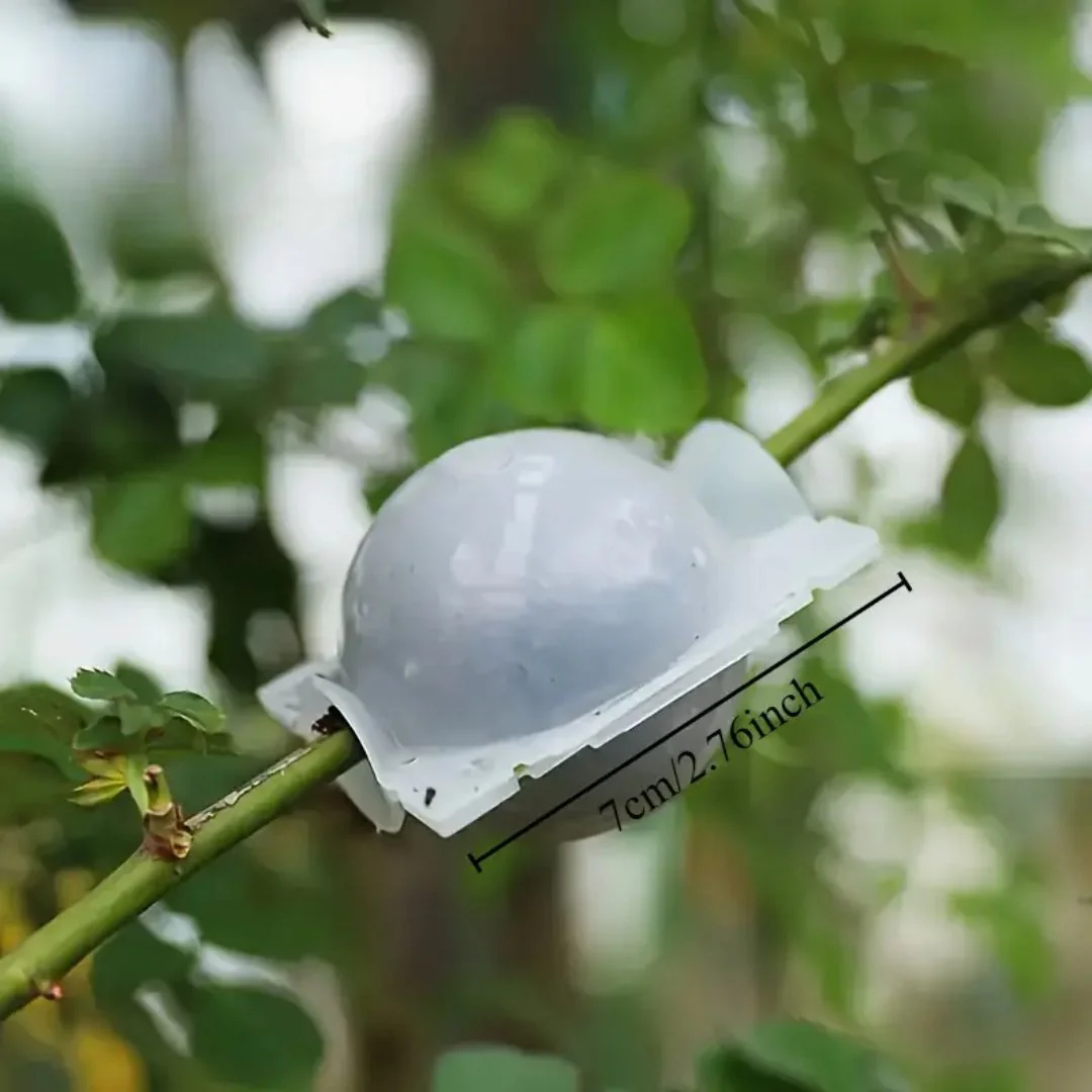 Air Layering Cups (8cm) - Image 2