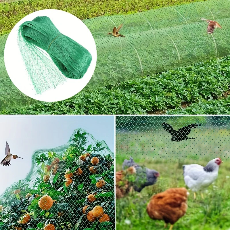 Anti Bird net – 2x10m - Image 5