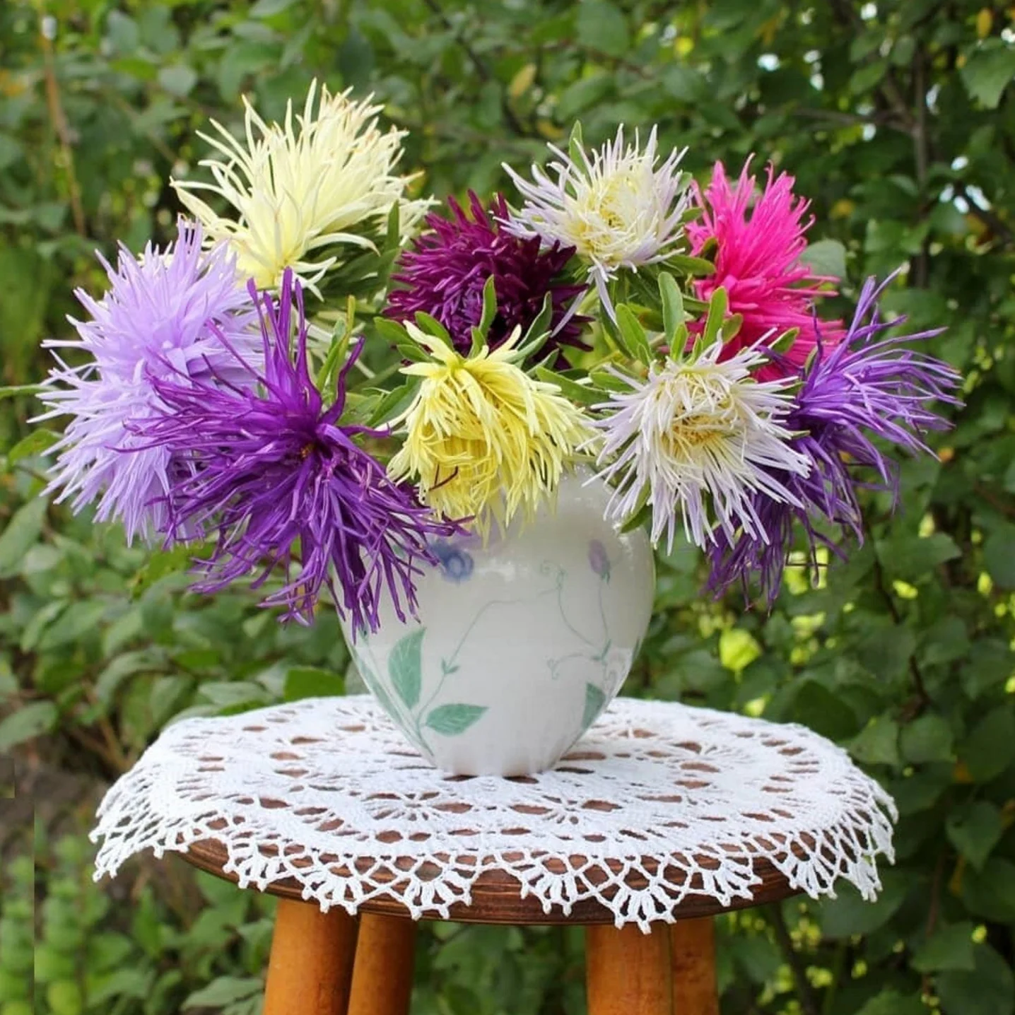 Aster Needle Mix – 30+ Seeds (WINTER) - Image 5