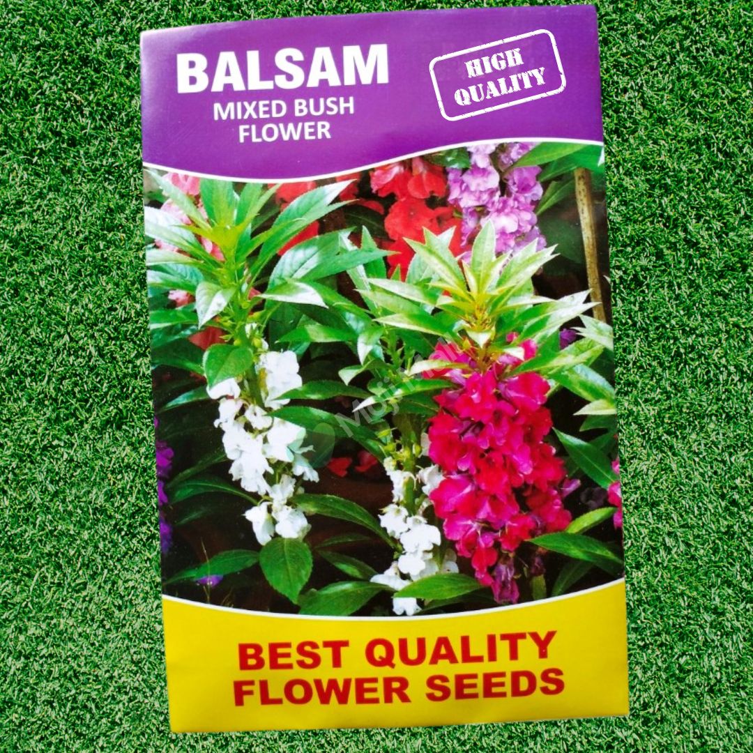 Balsam Bush Mix – 35+ Seeds - Image 2