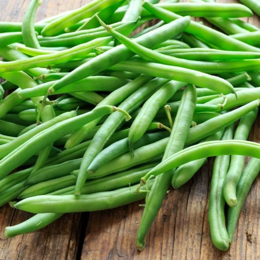 Beans Green – F1 Hybrid Seeds