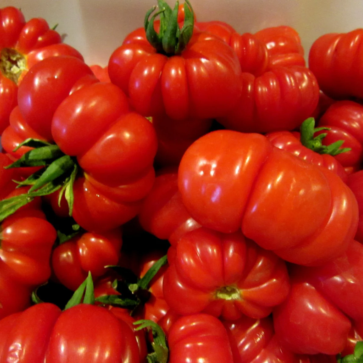 Tomato Beef (25+ Seeds) - Image 5