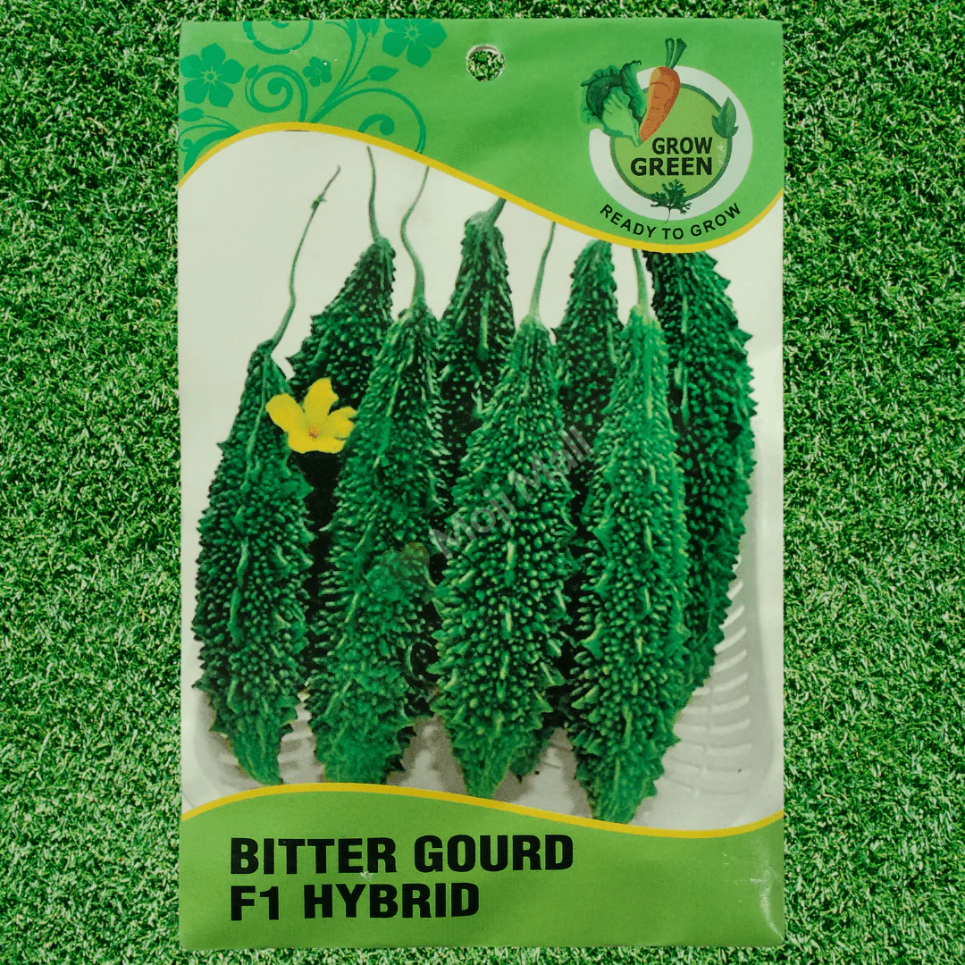 Bitter Gourd – F1 Hybrid Seeds - Image 2