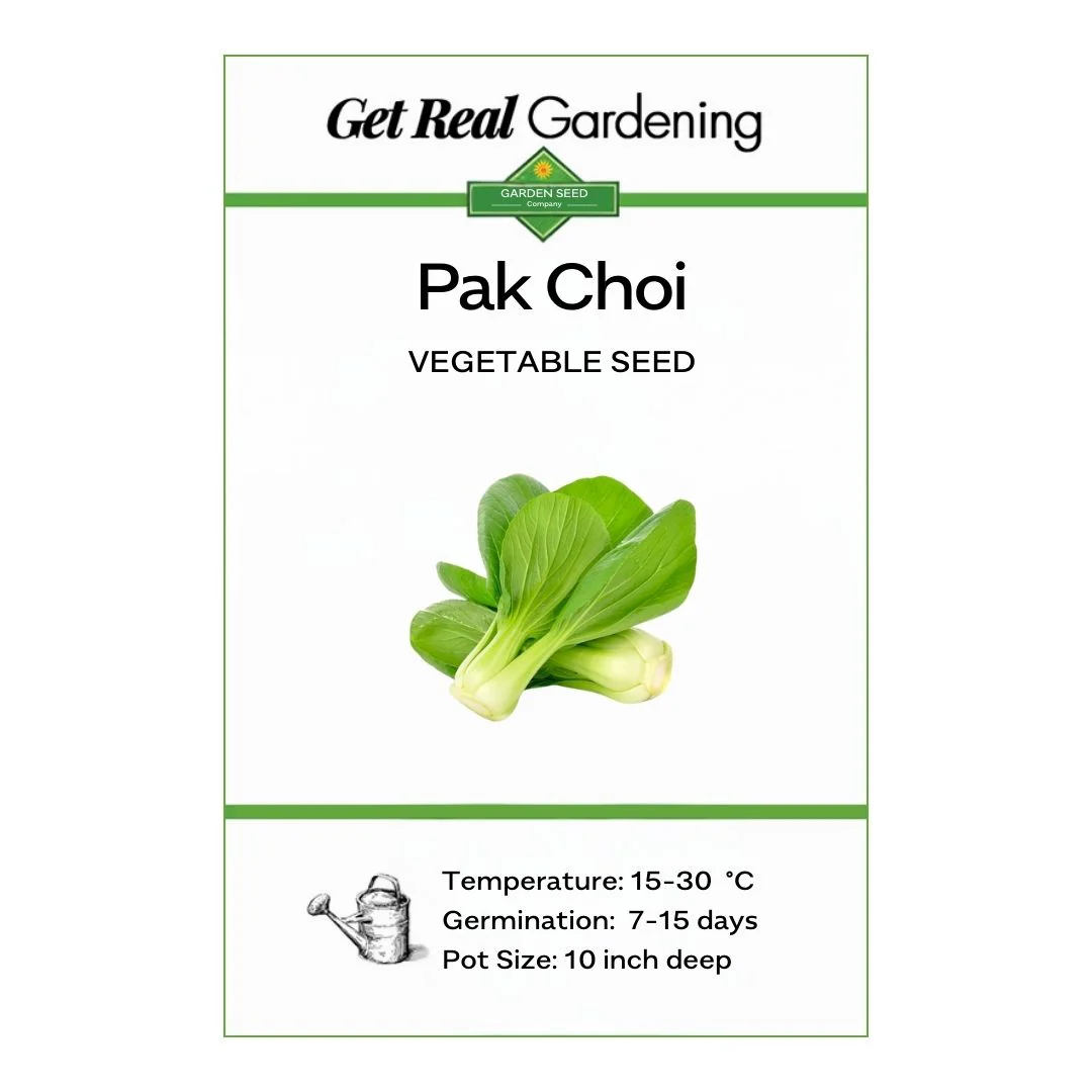 Bok Choy – 40+ Seeds - Image 2