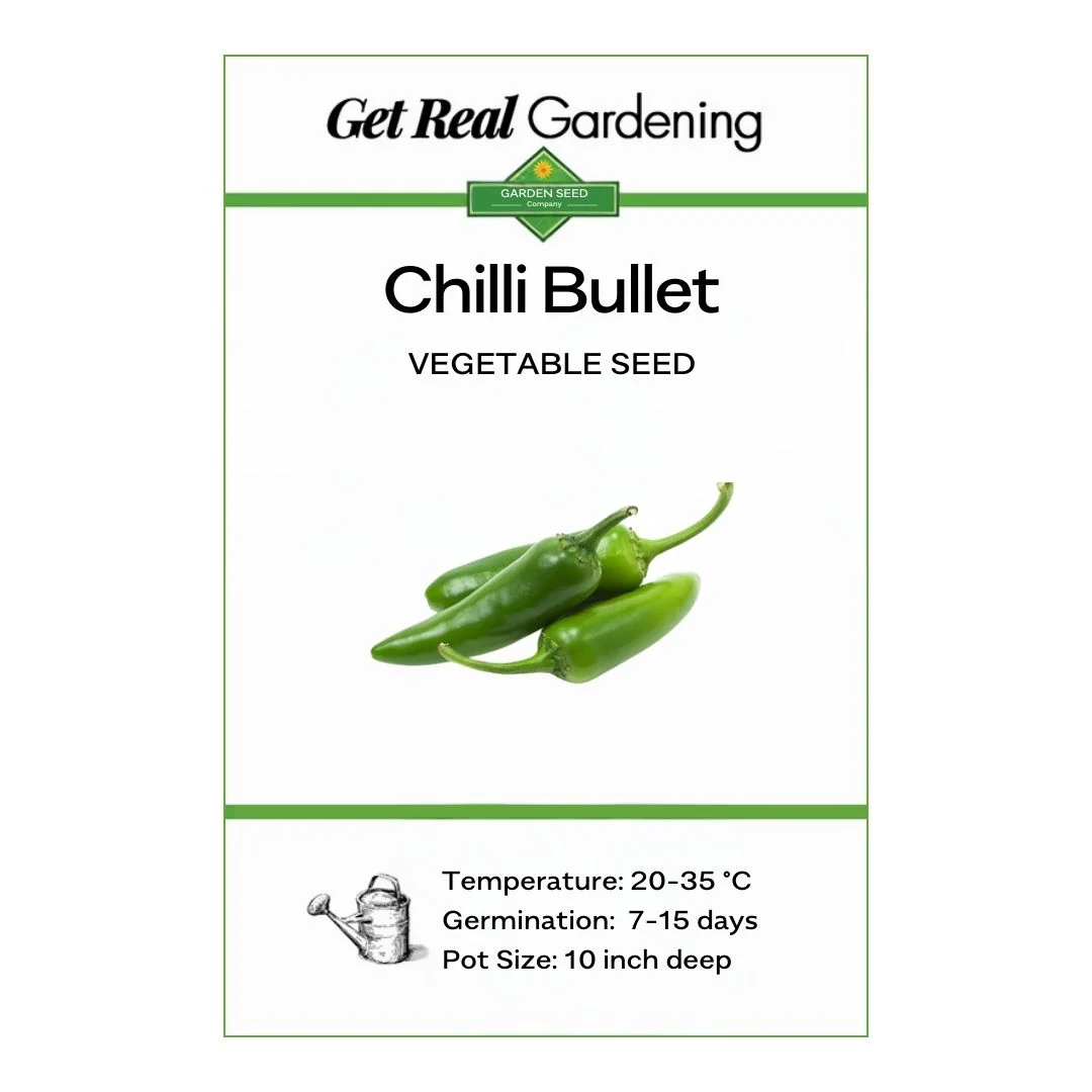 Chili Bullet – F1 Hybrid 25+ Seeds - Image 2