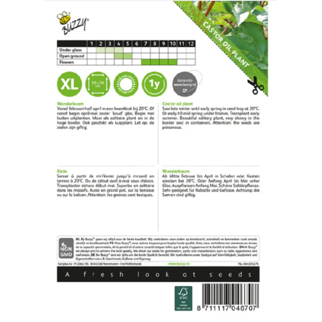 Castor Oil Seeds (imported Pack - Limited Stock) - Image 2