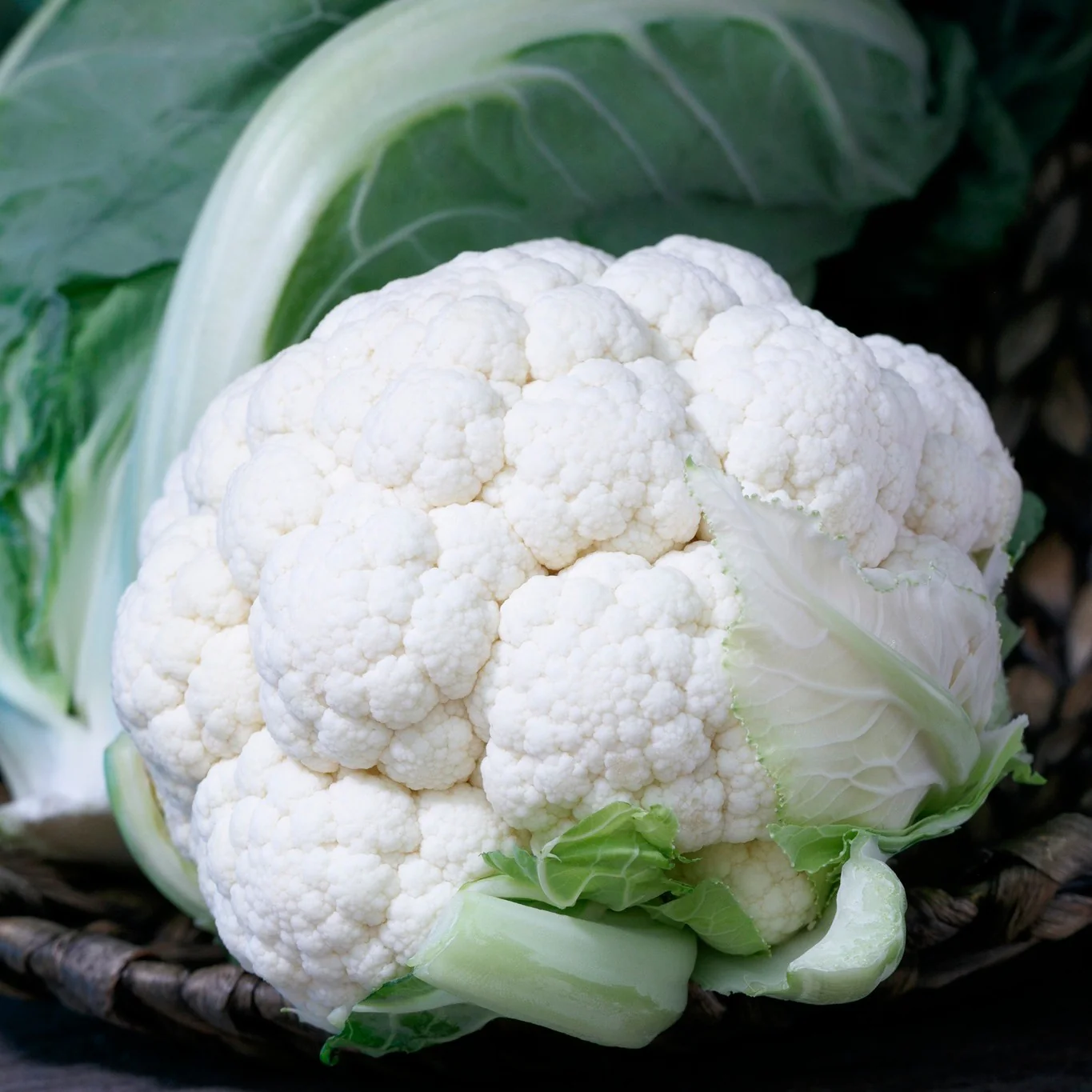 Cauliflower – F1 Hybrid 45+ Seeds - Image 3