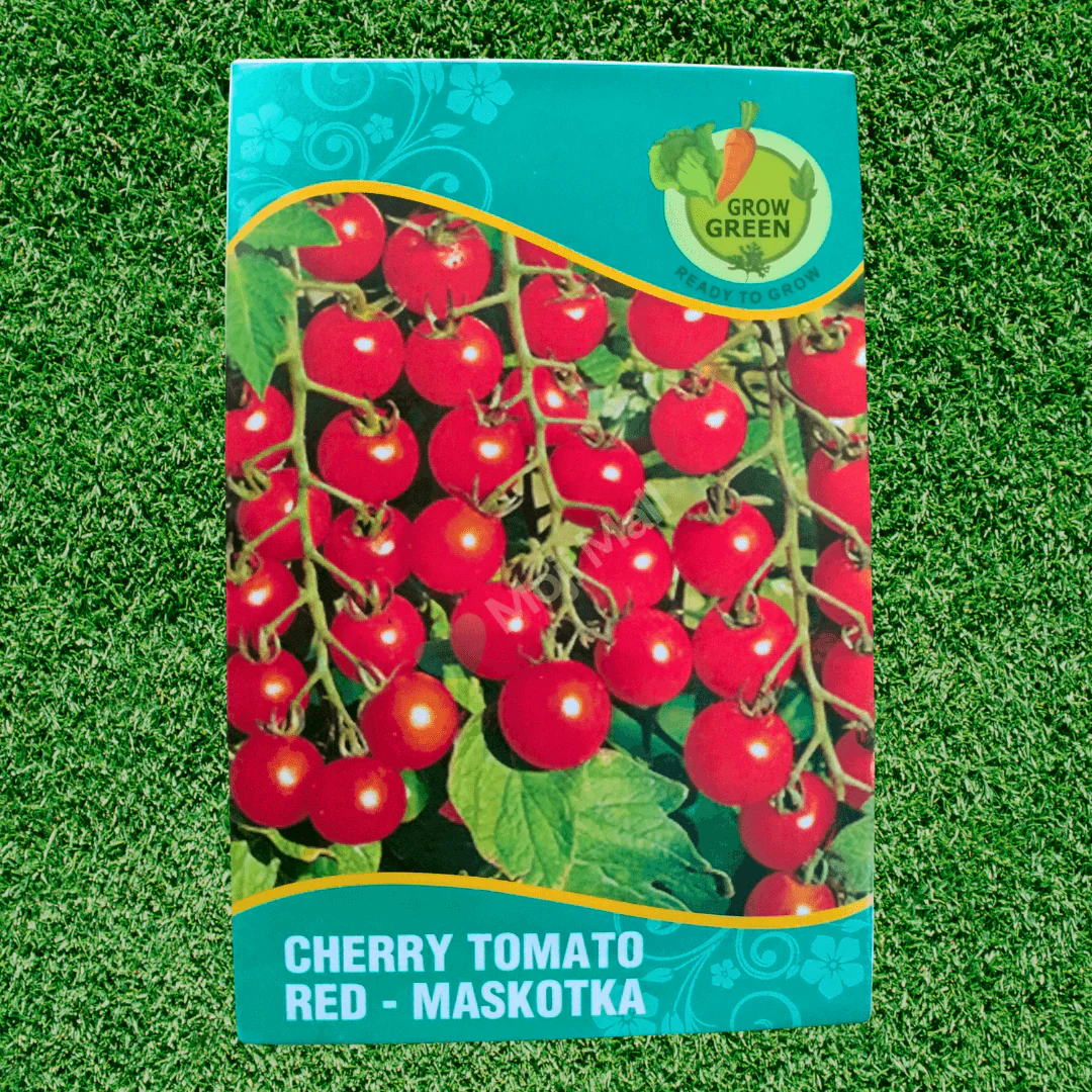 Tomato Cherry – Red Seeds - Image 2