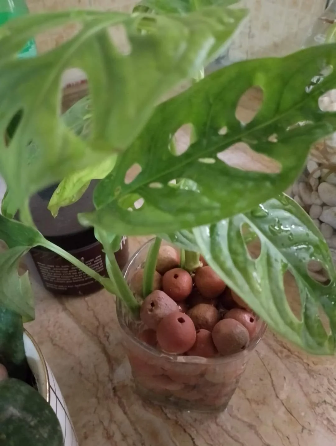 Clay Balls - Image 3