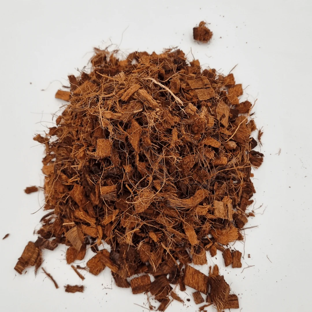 Coco Chips