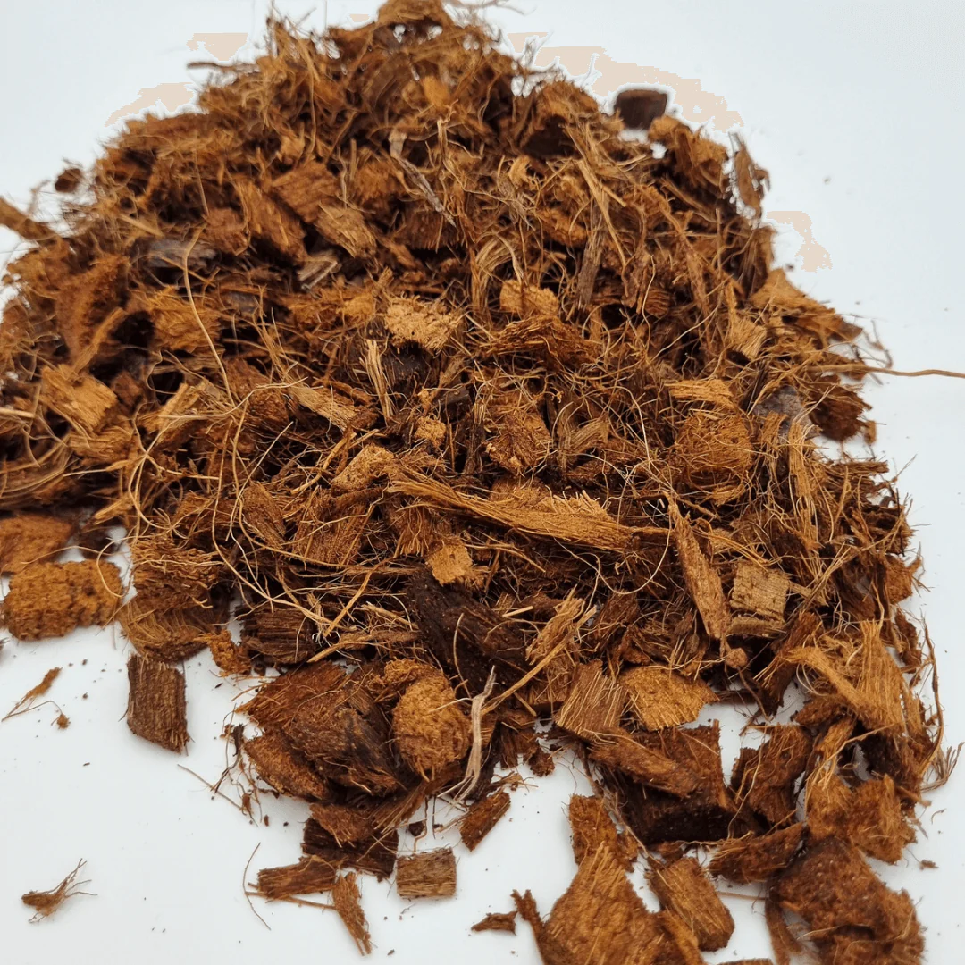 Coco Chips - Image 3