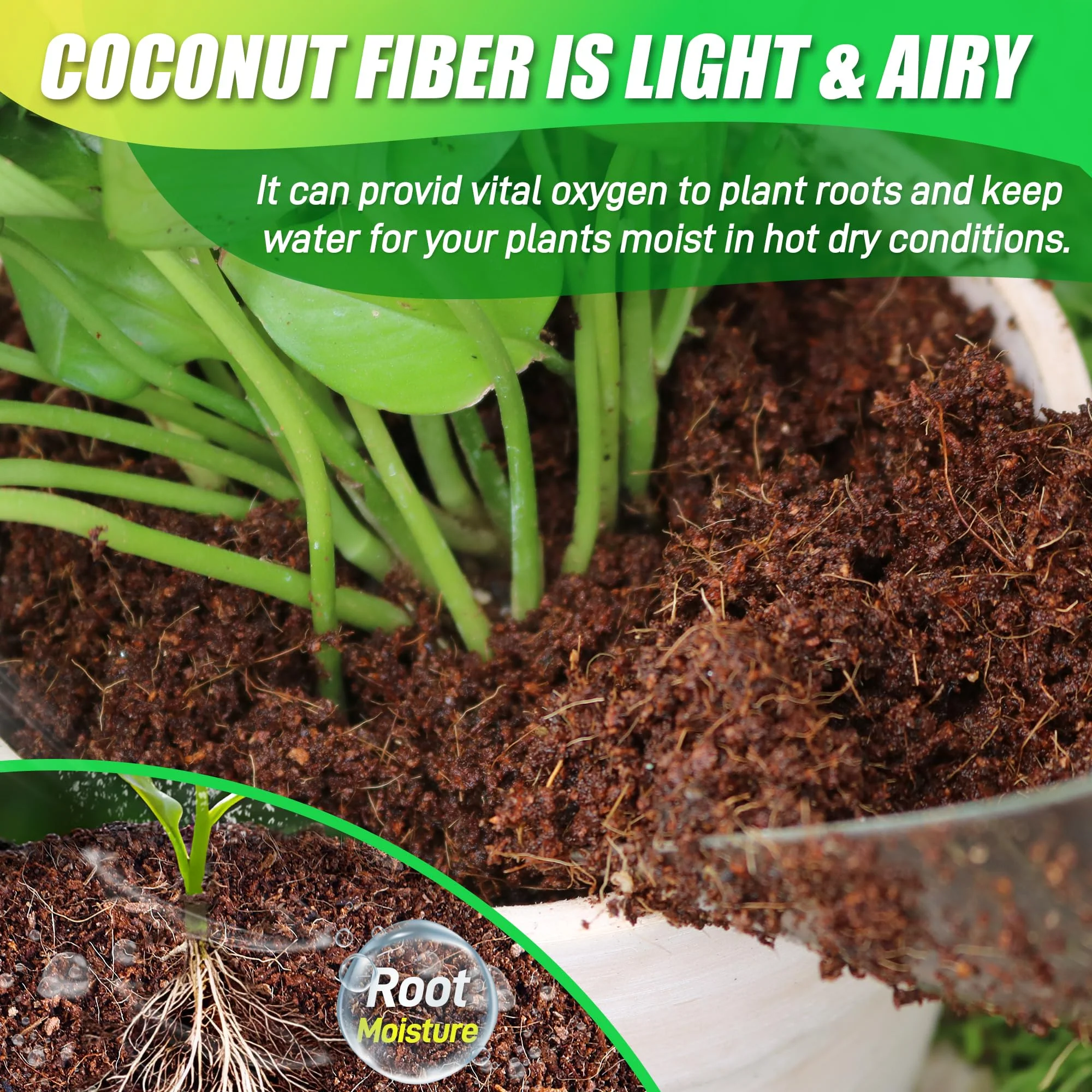 Coco Peat (Ready to Use) - Image 3