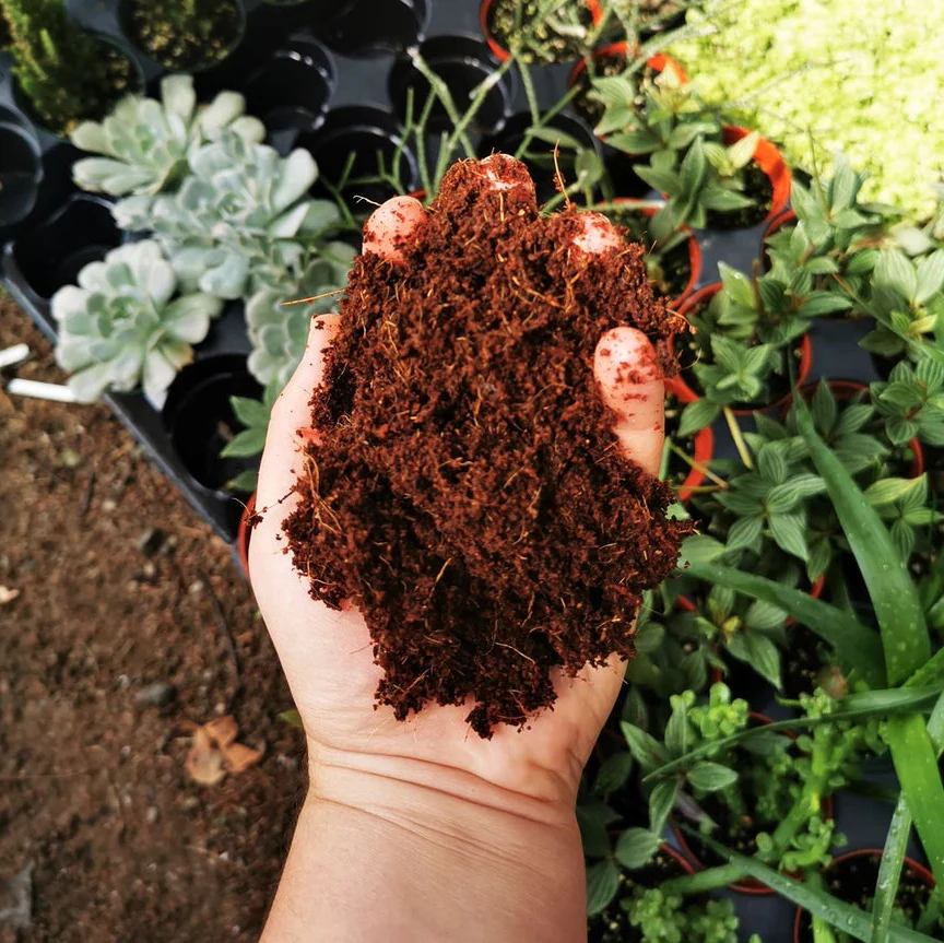 Coco Peat (Washed & Wet) - Image 3