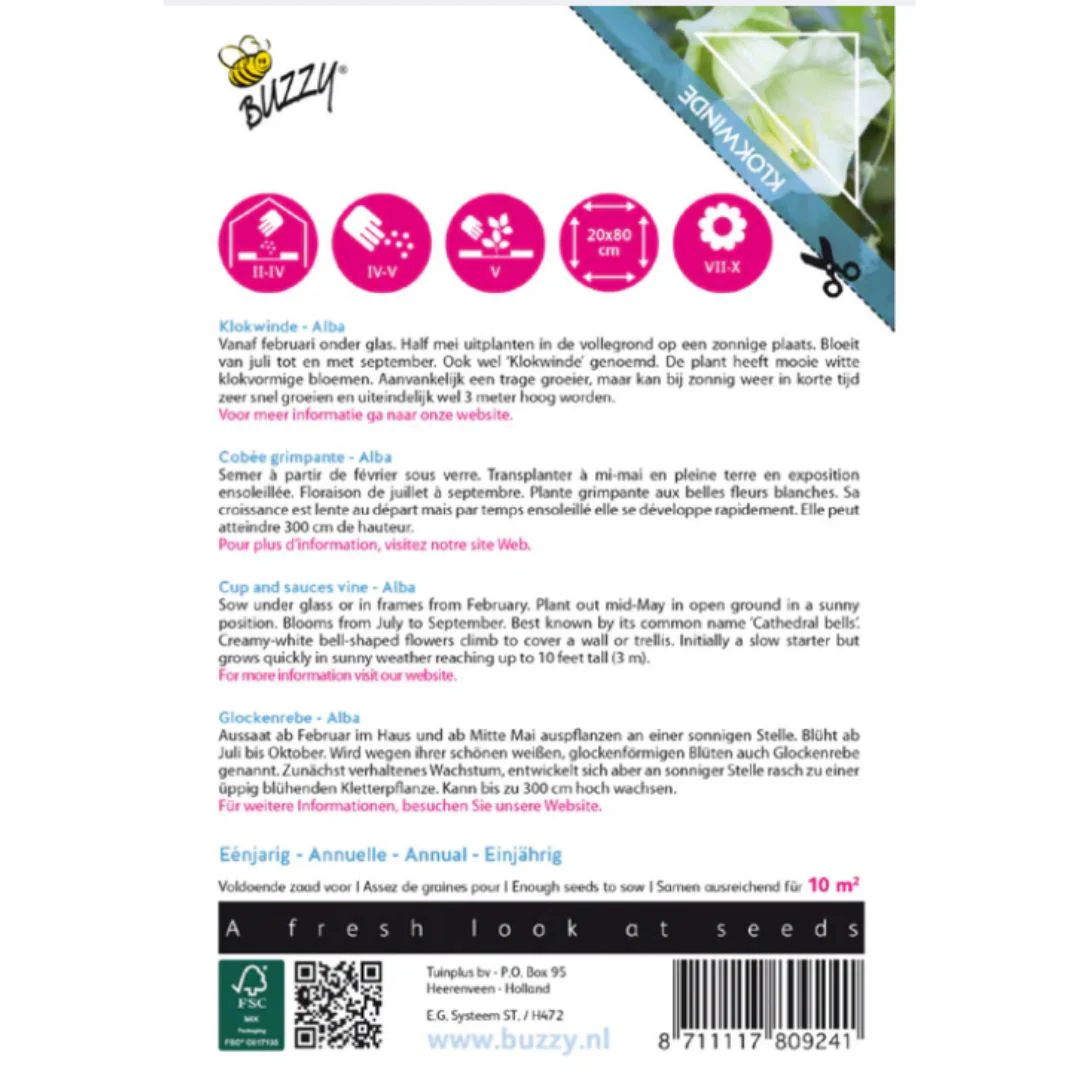 Cup And Sauces Vine White - Buzzy Seeds (imported - Limited Stock) - Image 2