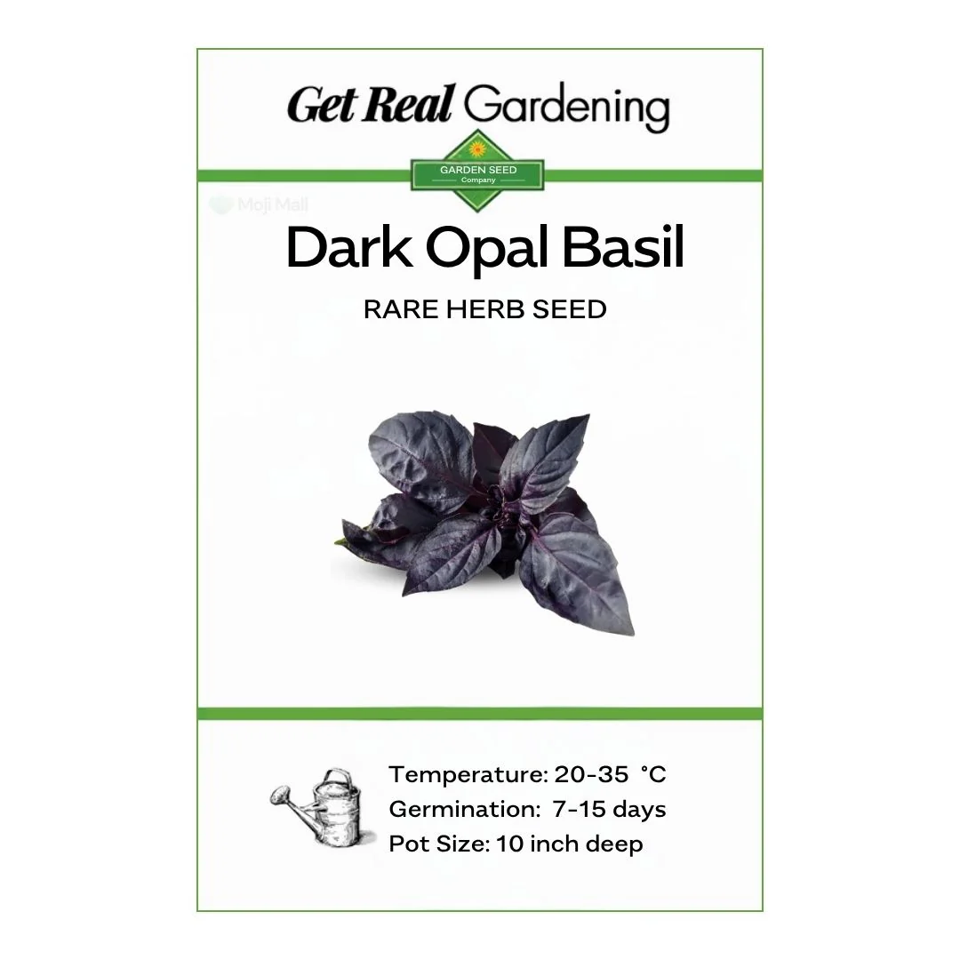 Dark Opal Basil – 30+ Seeds - Image 2