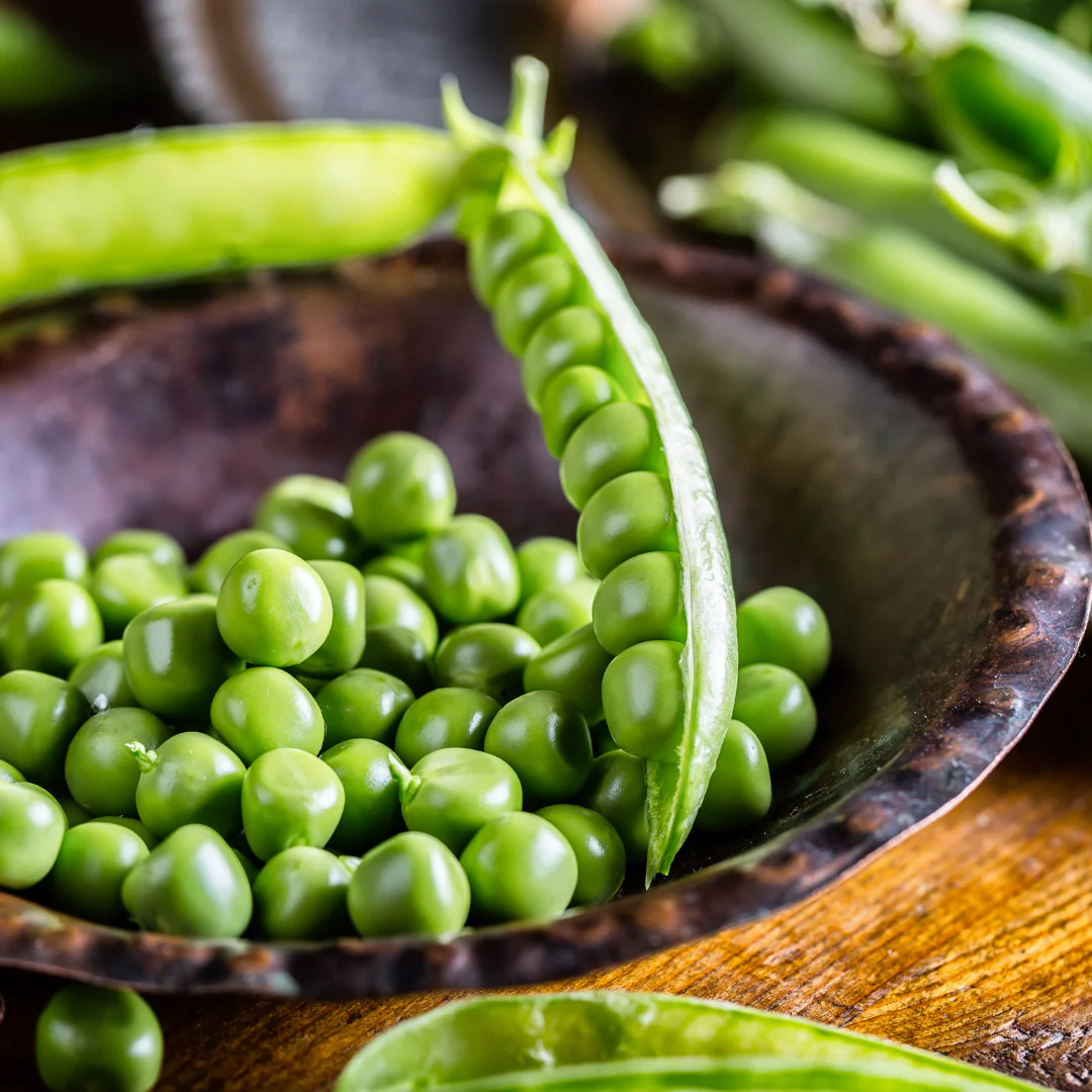 Pea (دیسی مٹر کے بیج) – 25+ Seeds - Image 3