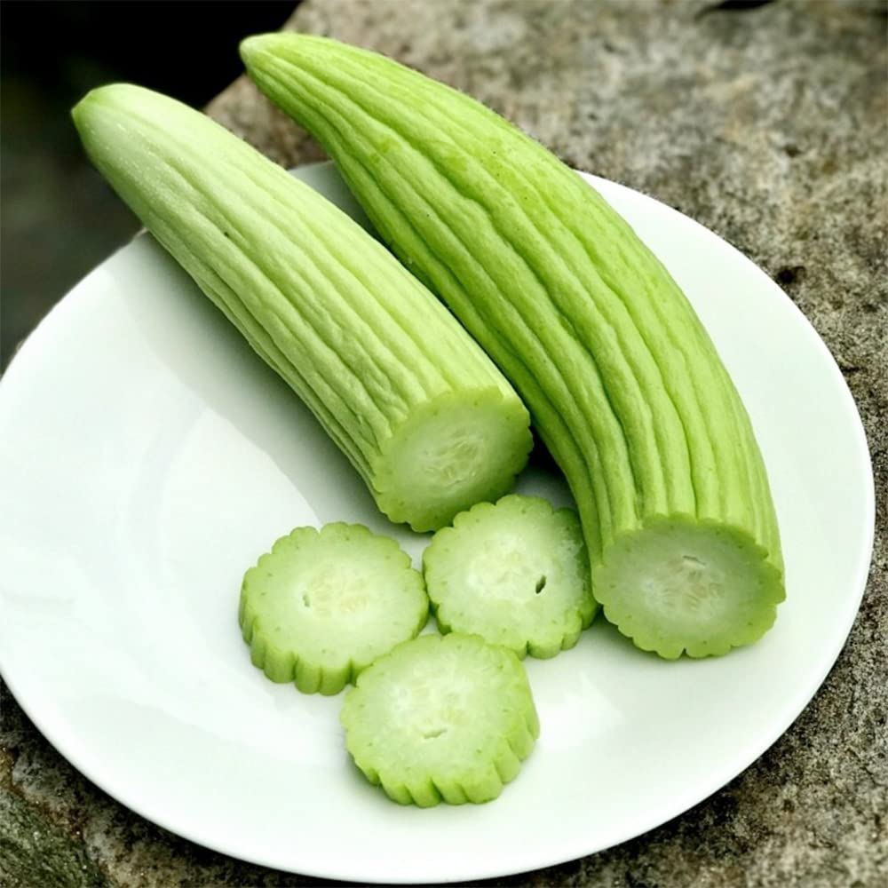 Kakri (دیسی ککڑی کے بیج) 50+ Seeds - Image 2