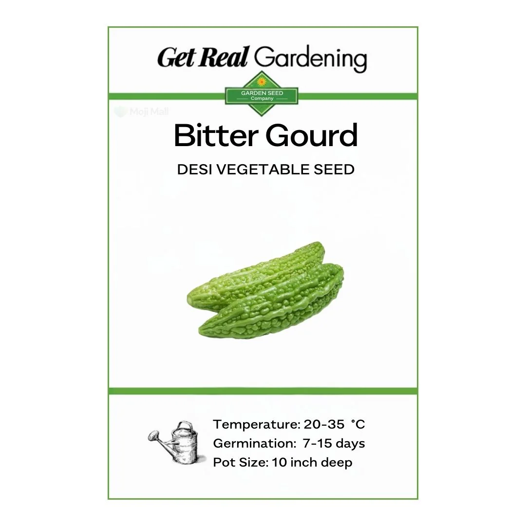 Bitter Gourd (دیسی کریلے کے بیج) – 20+ Seeds - Image 2