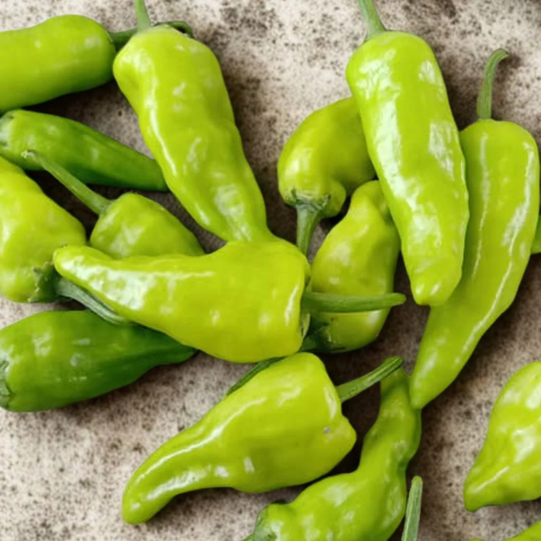 Chili (دیسی مرچ کے بیج) – 50+ Seeds