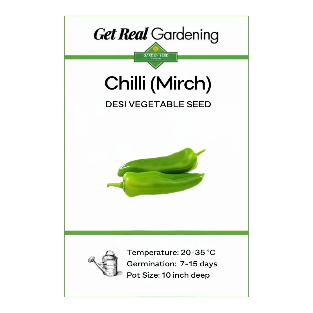 Chili (دیسی مرچ کے بیج) – 50+ Seeds - Image 2