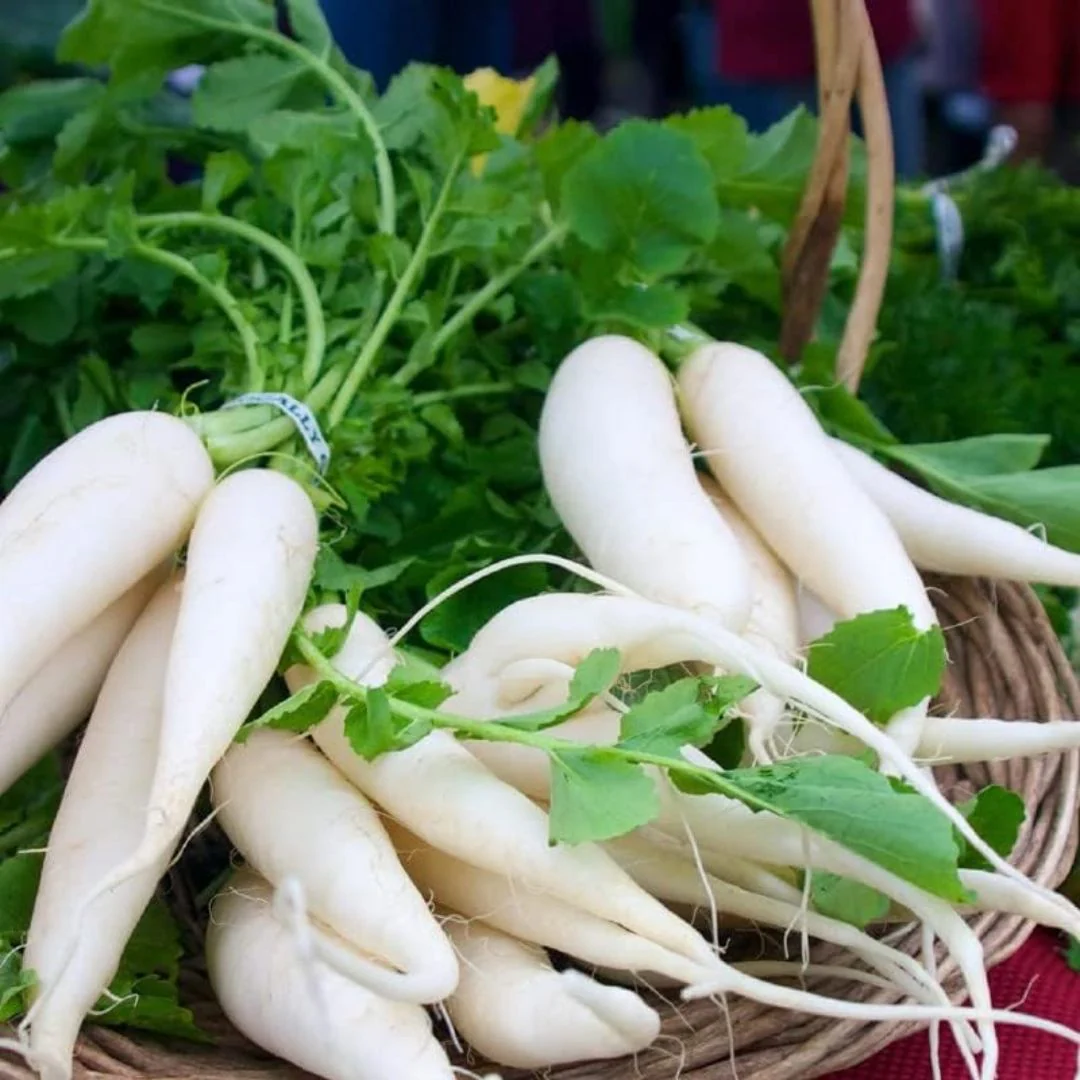 Radish White (دیسی مولی کے بیج) – 100+ Seeds - Image 4