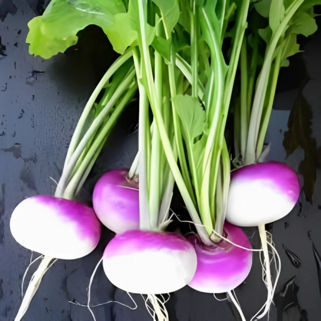 Turnip (دیسی شلجم کے بیج) – 250+ Seeds - Image 4