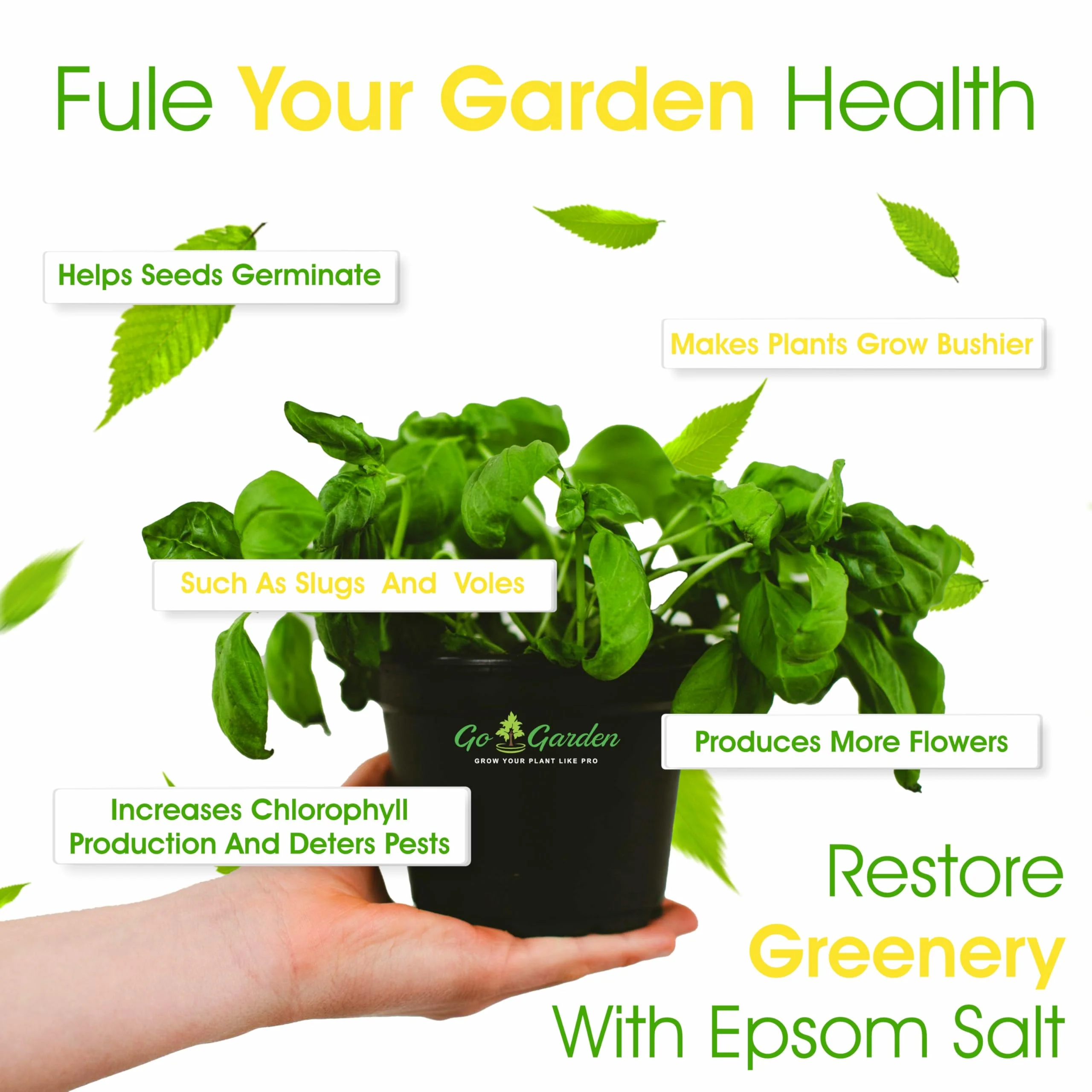 Epsom Salt (imported) - Image 3