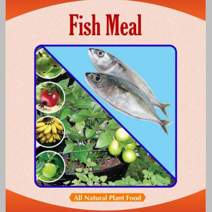 Fish meal – Organic Fertilizer