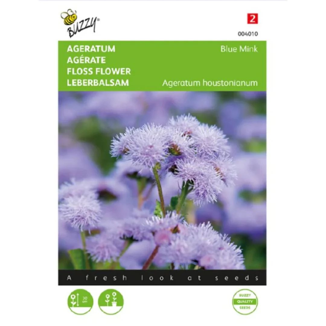 Floss Flower (Blue Mink) – Seeds (Imported - Limited Pack)