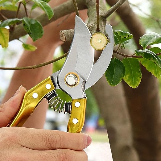 Flower Cutter - Image 3