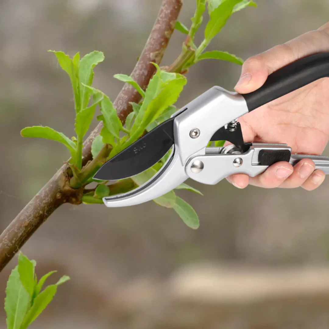 Flower Cutter - Image 5