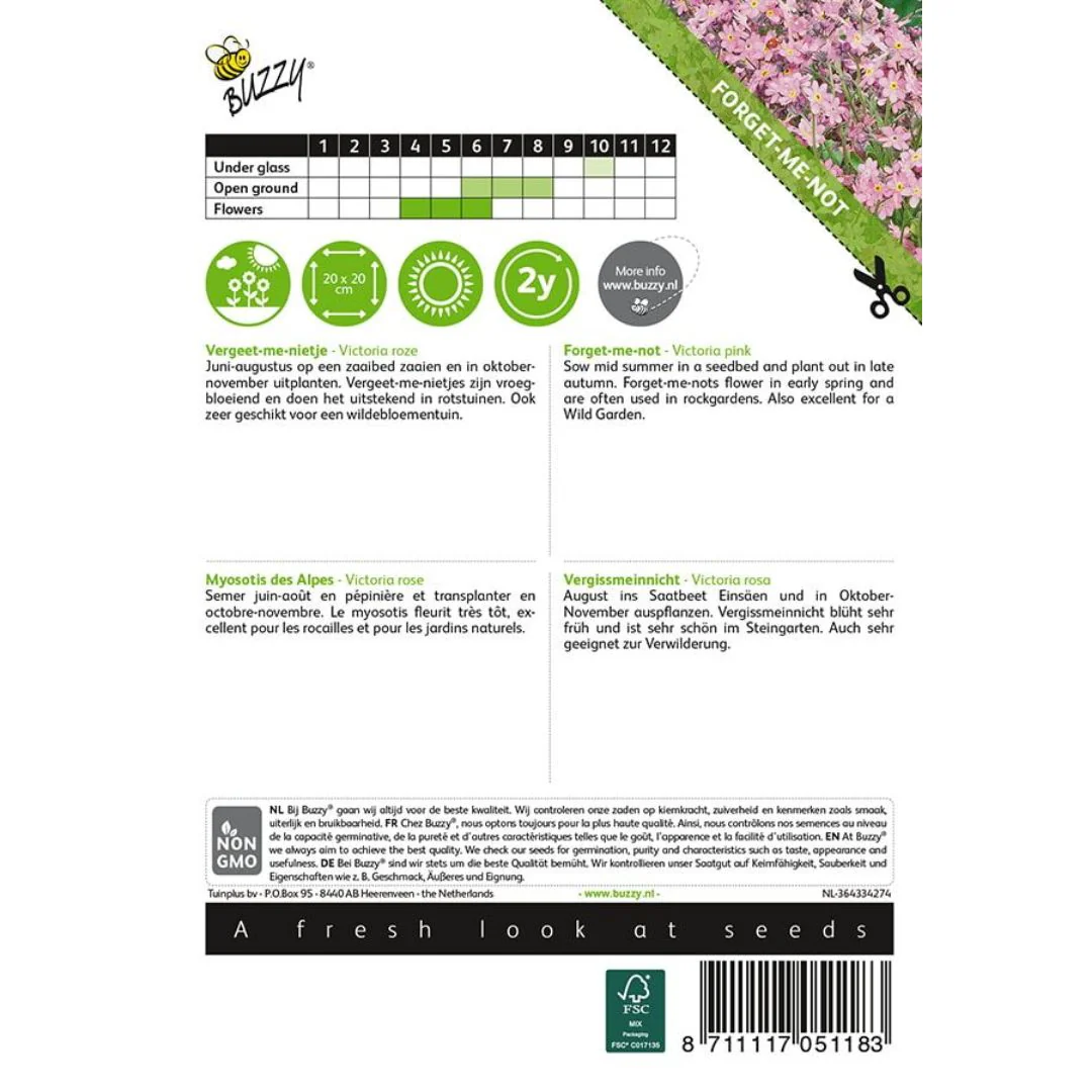 Forget‑Me‑Not – Seeds - Image 2