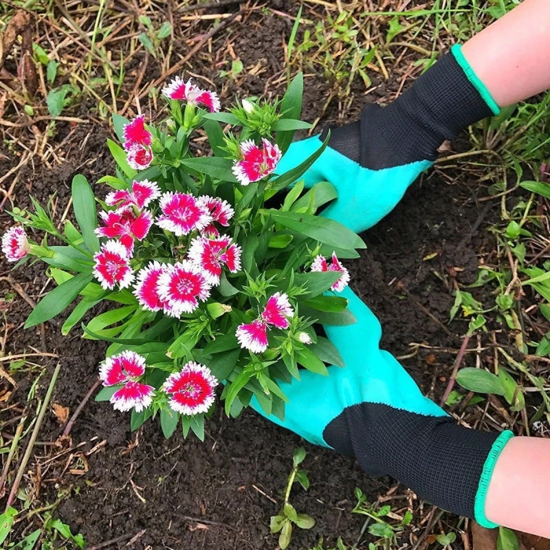 Garden Gloves – Clawed Gloves for Digging, Weeding & Planting - Image 4