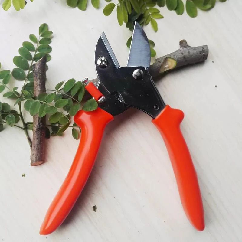 Garden Scissors - Image 3