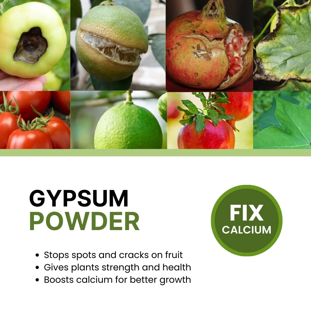 Gypsum Powder – Organic Fertilizer - Image 2