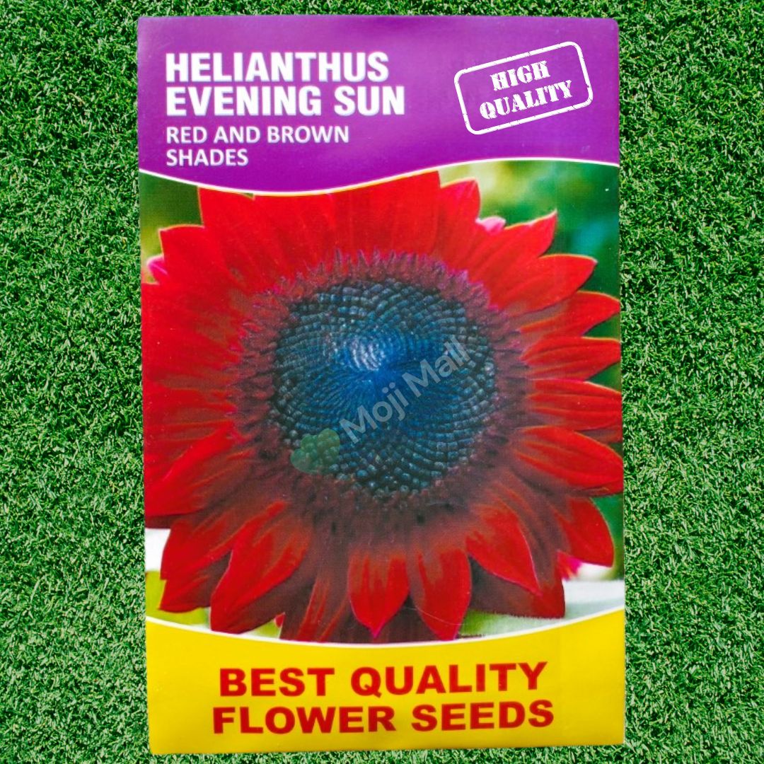 Helianthus (Red and Brown) - Seeds - Image 2