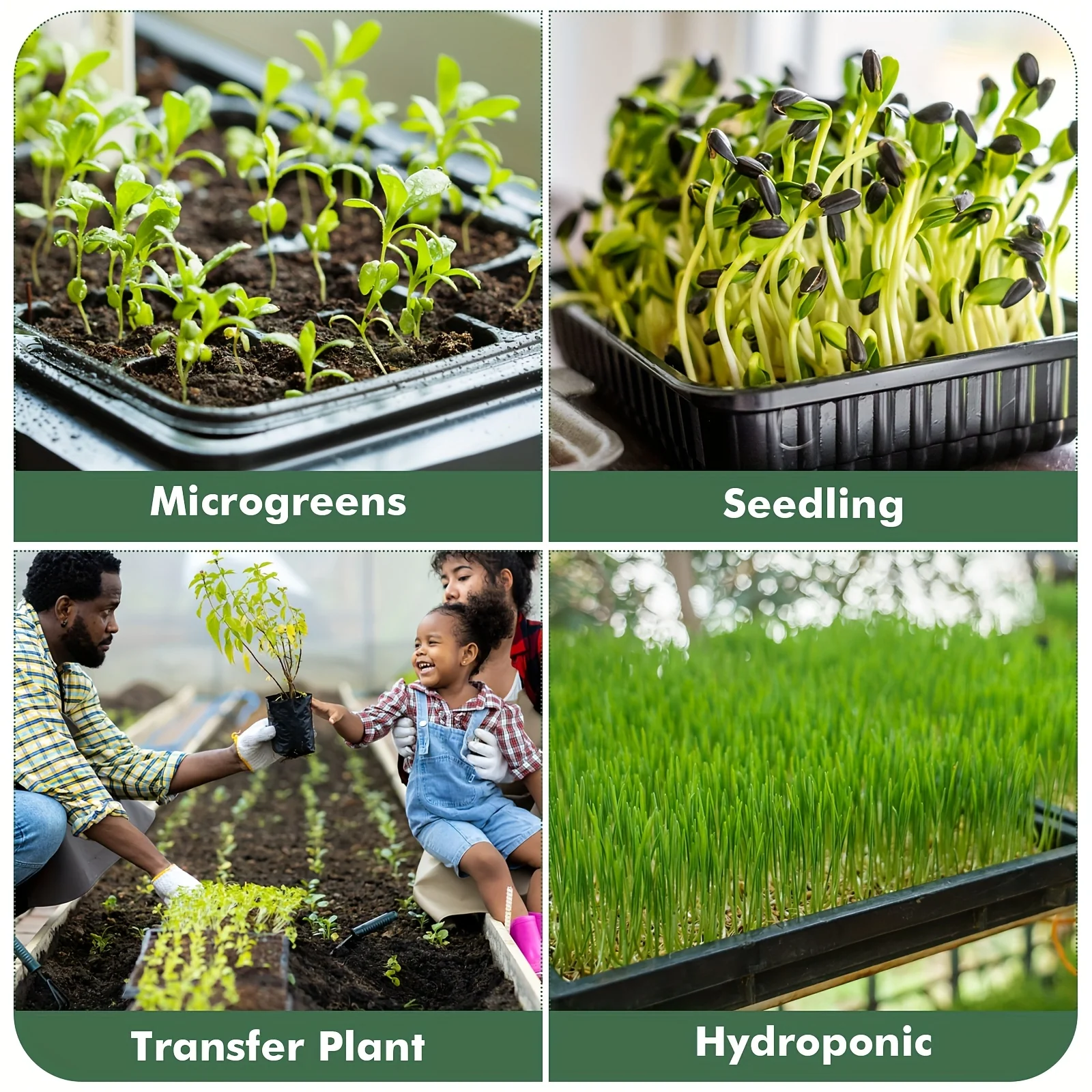 Pack of 2 Hydroponic Trays - Image 3