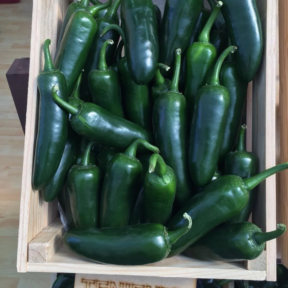 Jalapeno Pepper – 15 Seeds - Image 3