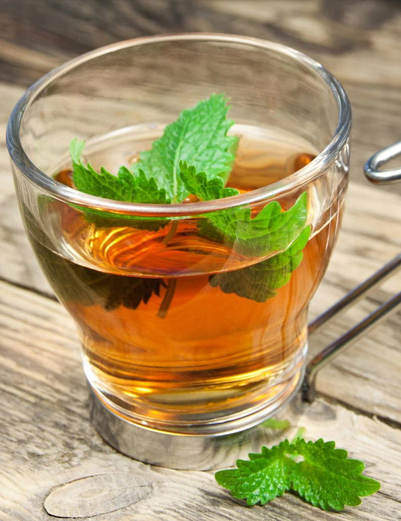 Lemon Balm – Royal Seeds - Image 3