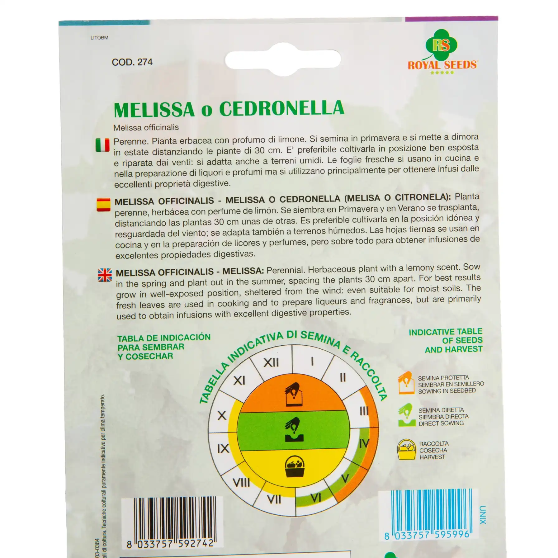 Lemon Balm – Royal Seeds - Image 5