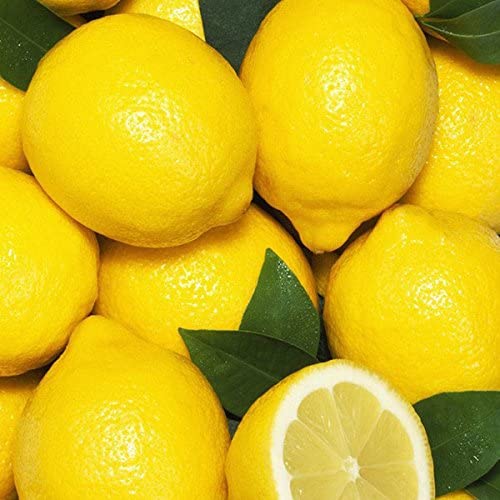 Lemon Fertilizer - Image 3