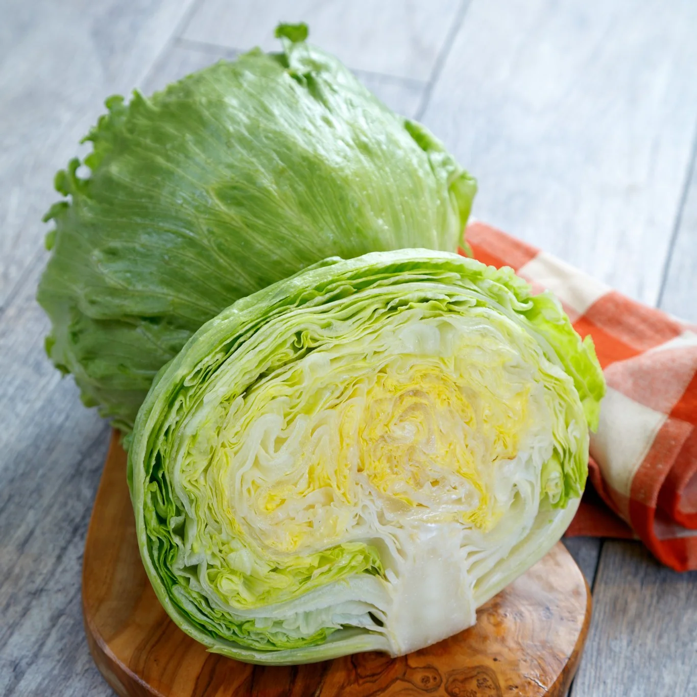 Lettuce Iceberg – 100+ Seeds - Image 3