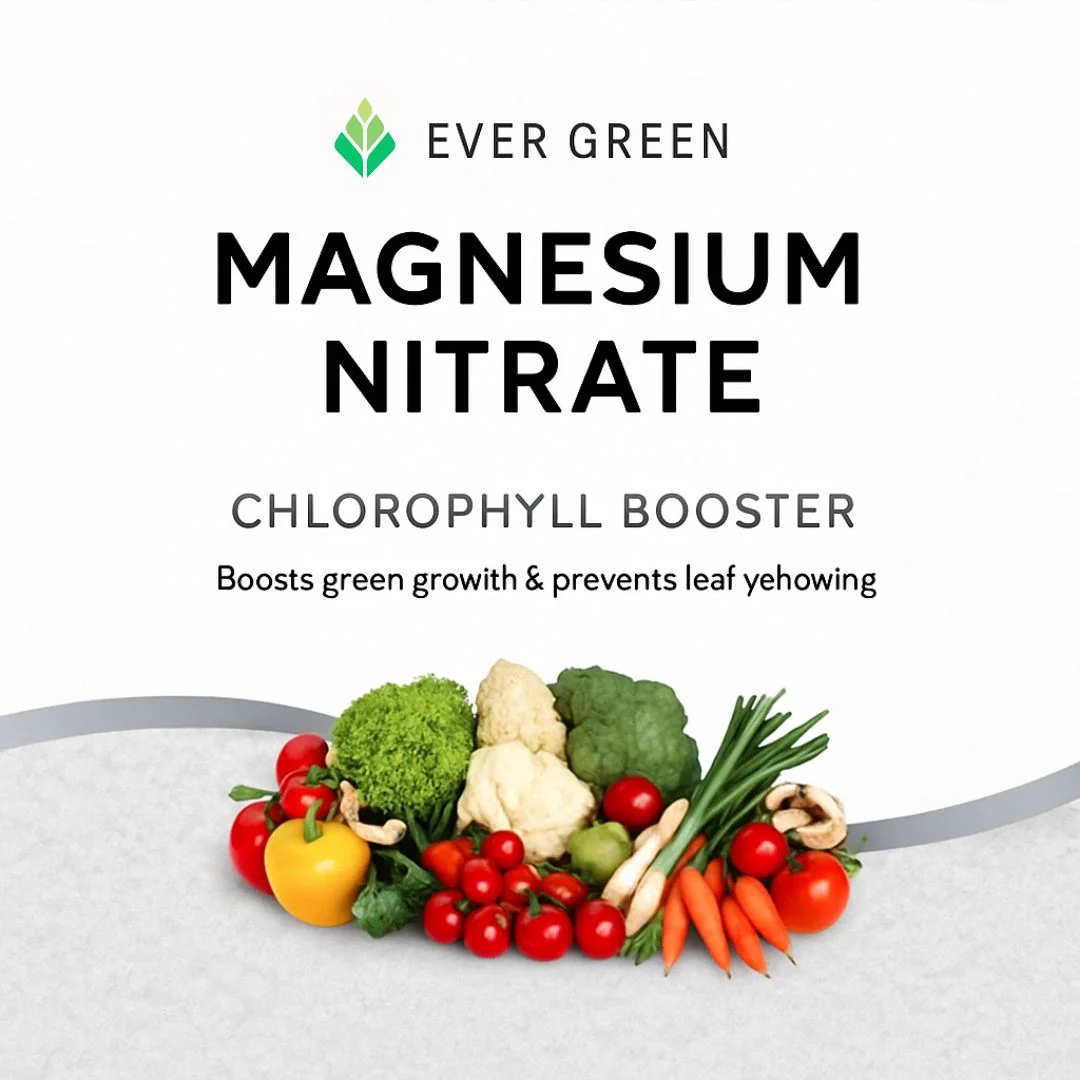 Magnesium Nitrate – Fertilizer (imported)