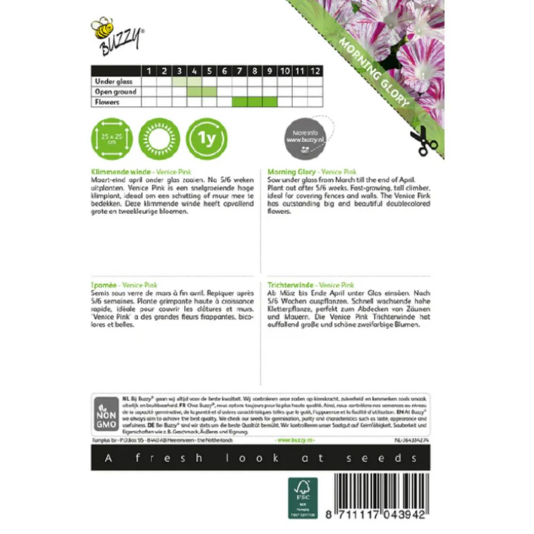 Morning Glory Climbing Bindweed Venice Pink Seeds (Imported - Limited Pack) - Image 2