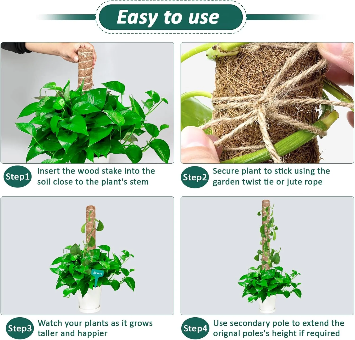 Moss stick – Coco Pole Plant support - Image 2